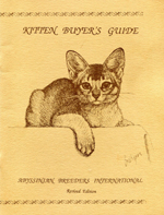 Abyssinian Kitten Buyer´s Guide_1 Abyssinian Kitten Buyer´s Guide_1